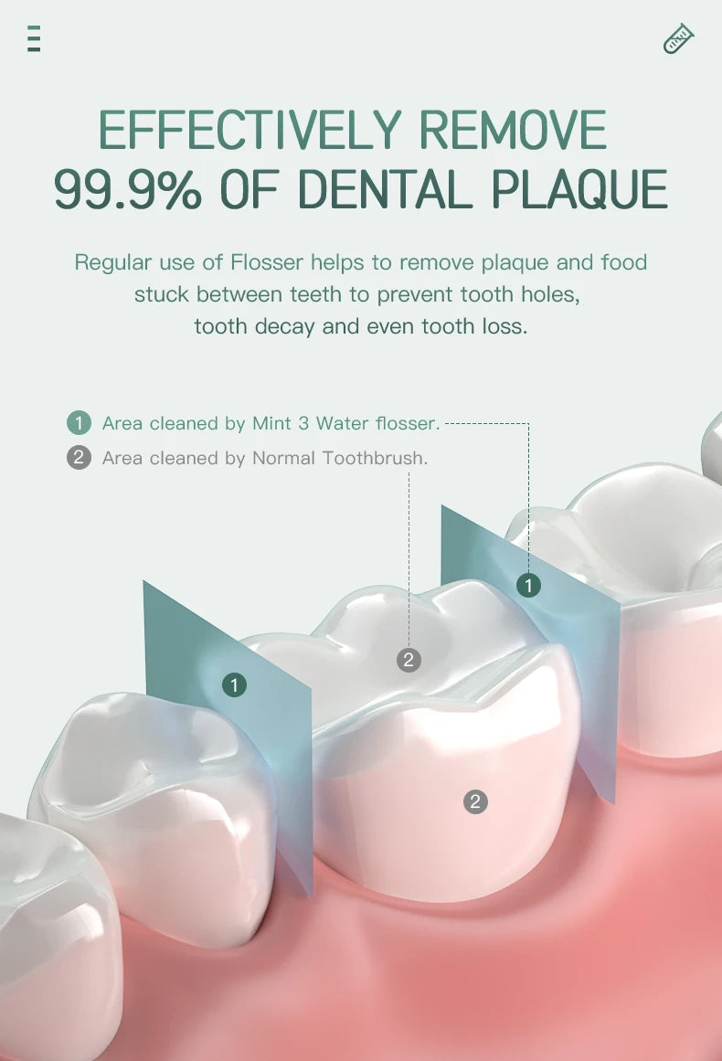 Mint 3 Water Flosser